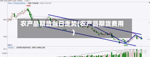 农产品期货当日走势(农产品期货费用)