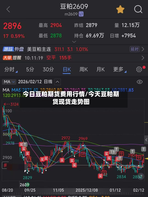 今日豆粕期货费用行情/今天豆粕期货现货走势图