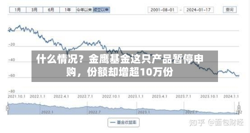 什么情况？金鹰基金这只产品暂停申购	，份额却增超10万份-第3张图片