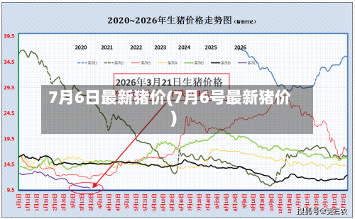 7月6日最新猪价(7月6号最新猪价)
