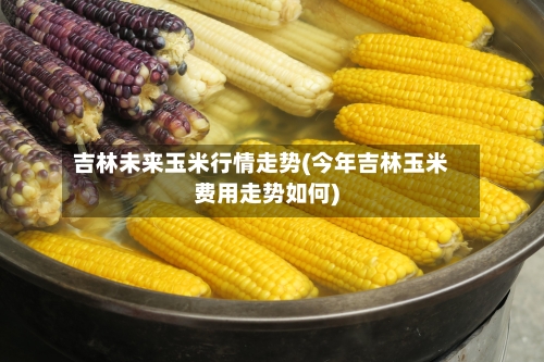 吉林未来玉米行情走势(今年吉林玉米费用走势如何)-第2张图片