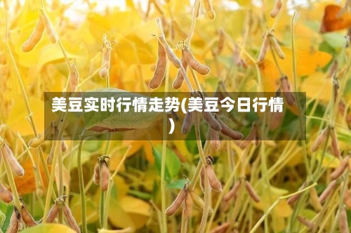 美豆实时行情走势(美豆今日行情)-第1张图片