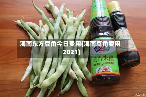海南东方豆角今日费用(海南豆角费用2021)-第2张图片