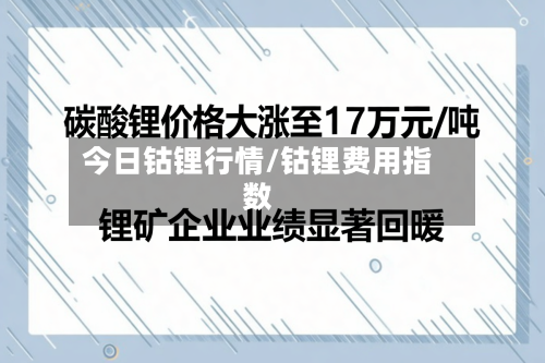 今日钴锂行情/钴锂费用指数-第2张图片