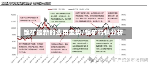 镍矿最新的费用走势/镍矿行情分析-第2张图片