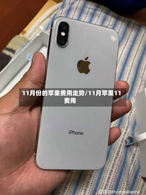 11月份的苹果费用走势/11月苹果11费用-第2张图片