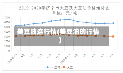 美豆油连行情(美豆油的行情)-第1张图片