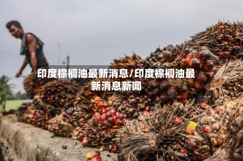 印度棕榈油最新消息/印度棕榈油最新消息新闻-第3张图片