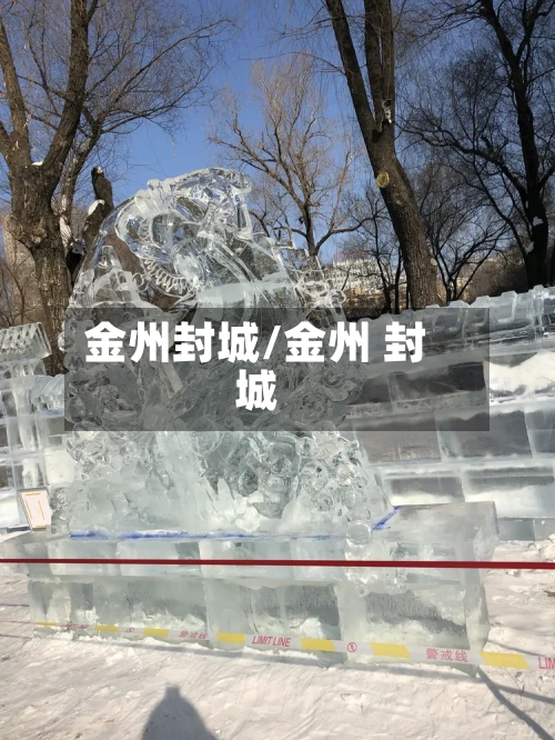 金州封城/金州 封城-第3张图片