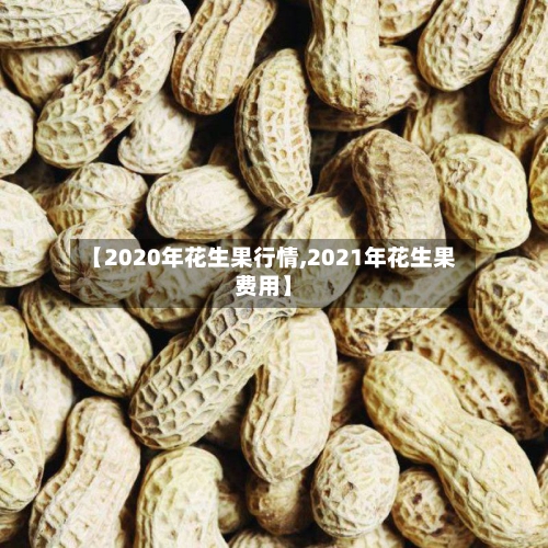 【2020年花生果行情,2021年花生果费用】-第2张图片