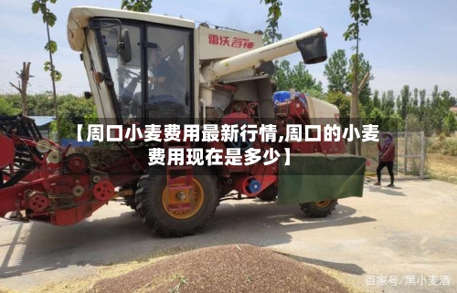 【周口小麦费用最新行情,周口的小麦费用现在是多少】-第2张图片