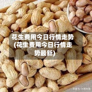 花生费用今日行情走势(花生费用今日行情走势最新)-第2张图片