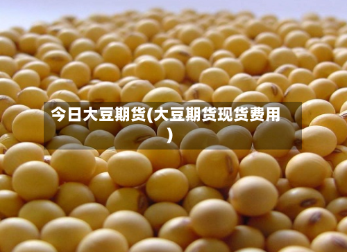 今日大豆期货(大豆期货现货费用)-第2张图片