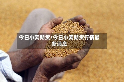 今日小麦期货/今日小麦期货行情最新消息-第2张图片