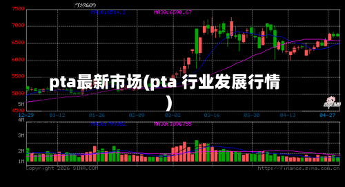 pta最新市场(pta 行业发展行情)-第2张图片