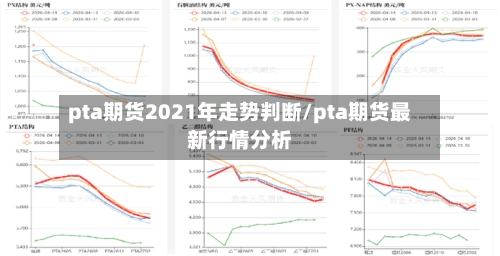 pta期货2021年走势判断/pta期货最新行情分析-第2张图片