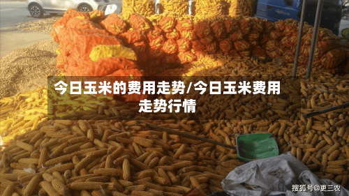 今日玉米的费用走势/今日玉米费用走势行情-第2张图片