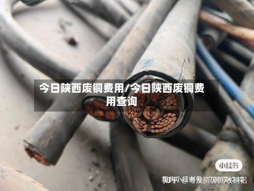 今日陕西废铜费用/今日陕西废铜费用查询-第3张图片
