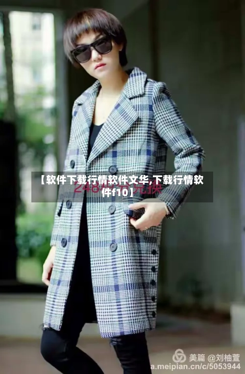 【软件下载行情软件文华,下载行情软件f10】-第2张图片