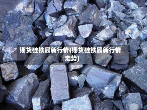 期货硅铁最新行情(期货硅铁最新行情走势)-第2张图片