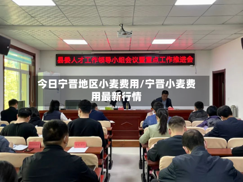 今日宁晋地区小麦费用/宁晋小麦费用最新行情-第1张图片