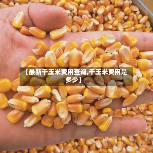 【最新干玉米费用查询,干玉米费用是多少】-第2张图片