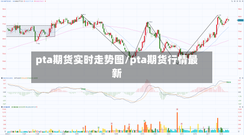 pta期货实时走势图/pta期货行情最新-第3张图片