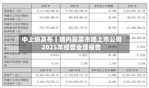 中上协发布丨境内股票市场上市公司2025年经营业绩报告-第2张图片