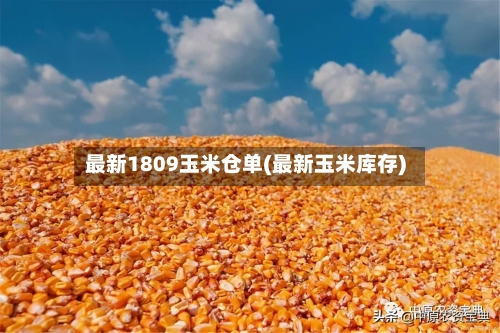 最新1809玉米仓单(最新玉米库存)-第3张图片