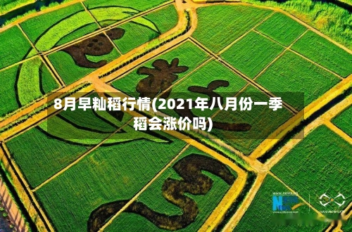 8月早籼稻行情(2021年八月份一季稻会涨价吗)-第3张图片