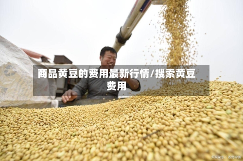 商品黄豆的费用最新行情/搜索黄豆费用-第2张图片