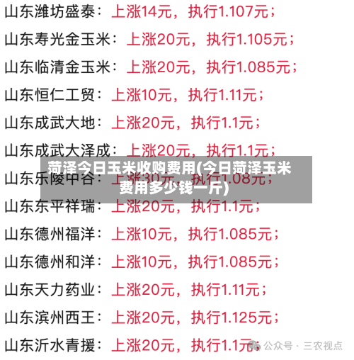 菏泽今日玉米收购费用(今日菏泽玉米费用多少钱一斤)-第3张图片