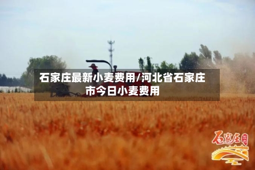 石家庄最新小麦费用/河北省石家庄市今日小麦费用-第2张图片