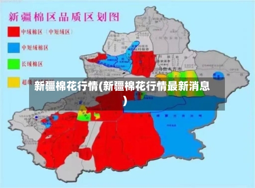 新疆棉花行情(新疆棉花行情最新消息)-第3张图片