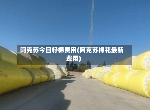 阿克苏今日籽棉费用(阿克苏棉花最新费用)-第2张图片