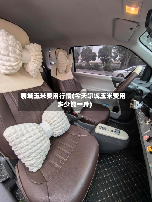 聊城玉米费用行情(今天聊城玉米费用多少钱一斤)-第1张图片