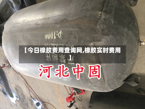 【今日橡胶费用查询网,橡胶实时费用】-第2张图片