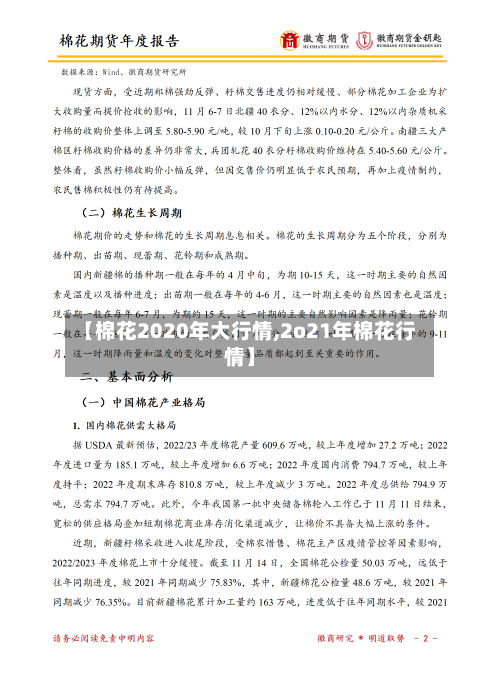 【棉花2020年大行情,2o21年棉花行情】-第2张图片