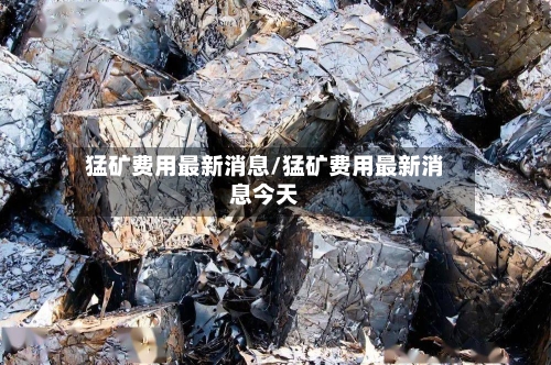 猛矿费用最新消息/猛矿费用最新消息今天-第3张图片