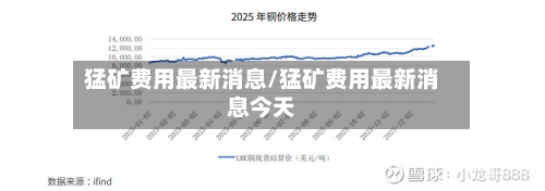 猛矿费用最新消息/猛矿费用最新消息今天-第2张图片