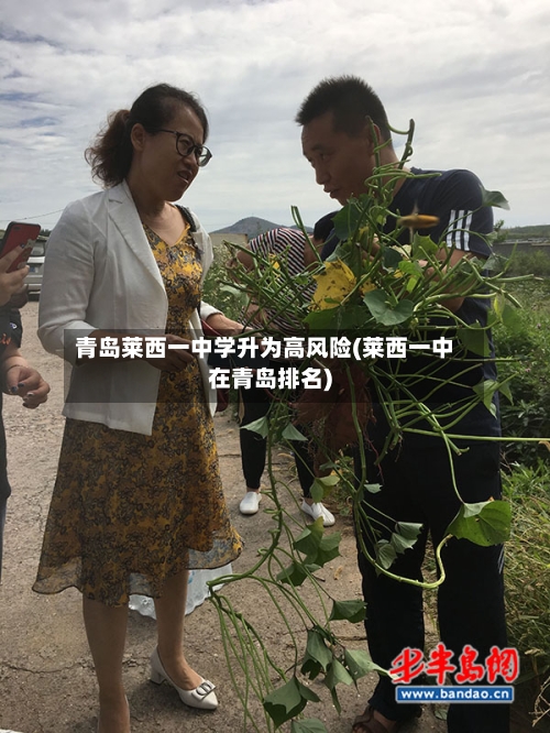 青岛莱西一中学升为高风险(莱西一中在青岛排名)-第1张图片